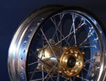 Custom Spokes and Rims